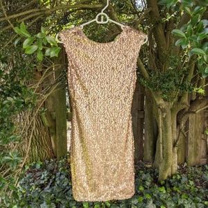 Forever 21 Fitted Gold Sequin Dress